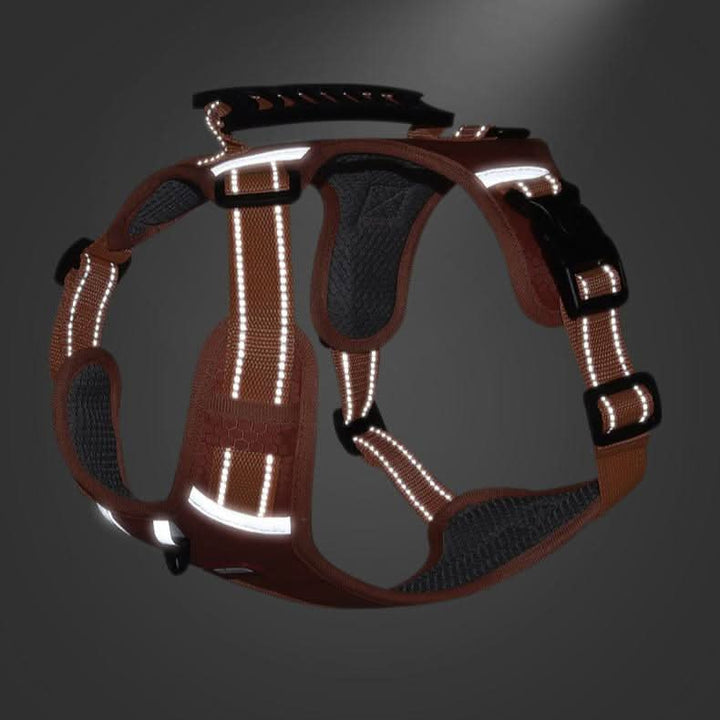 Skanto | anti-drag hundesele for smertefrie turer