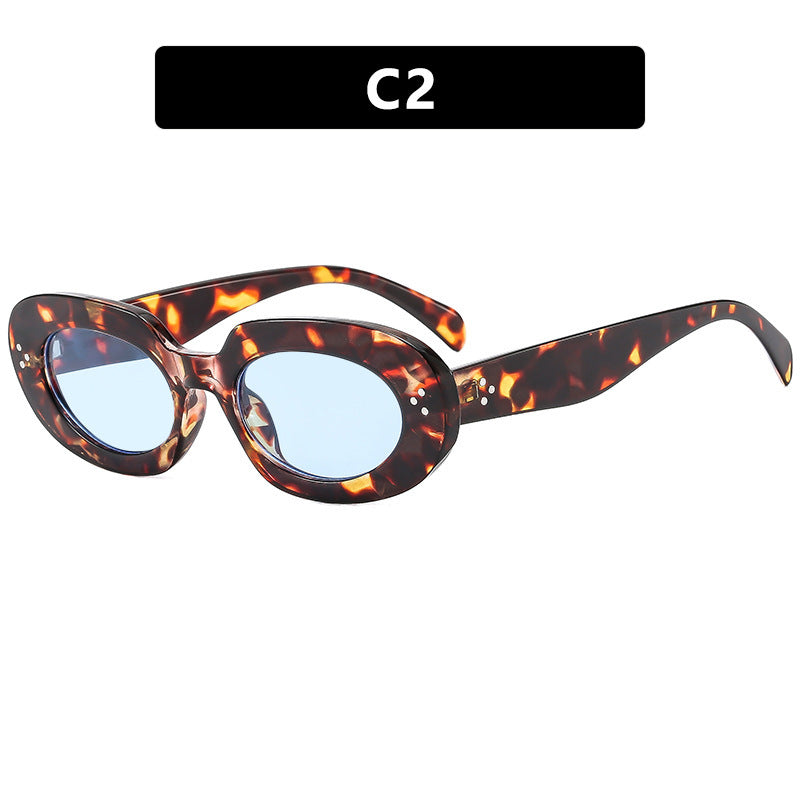 Women's Fashionable Sunglasses with Unique Oval Frame and Protective Lenses Skanto