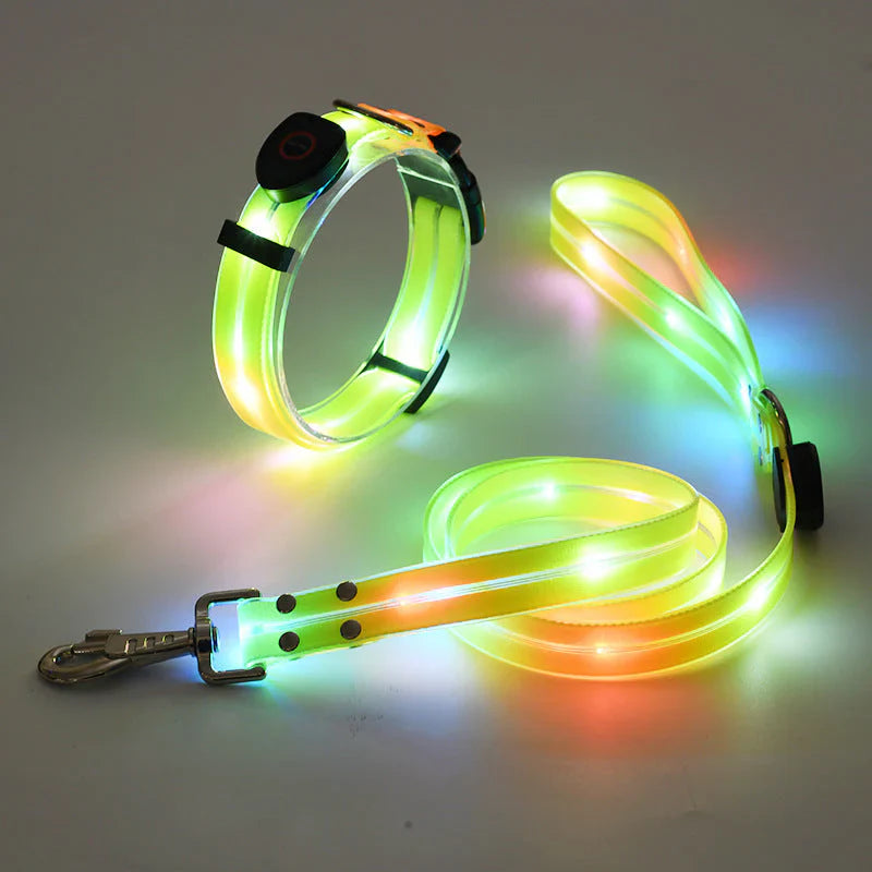 LED Hundehalsbånd med Bånd – NightBright Skanto