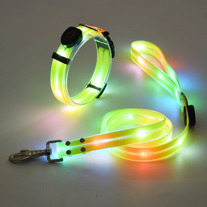 LED Hundehalsbånd med Bånd – NightBright Skanto