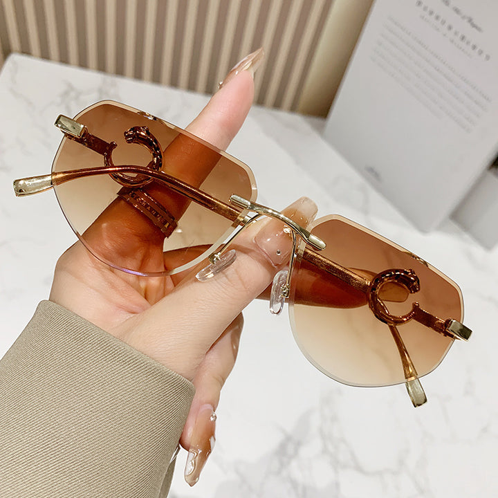 Women's trendy stylish sunglasses in modern design with filigree metal frame Skanto