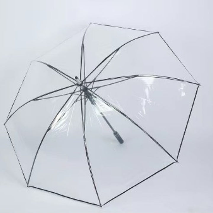 Damer Transparent Paraply med Ergonomisk Håndtak Skanto