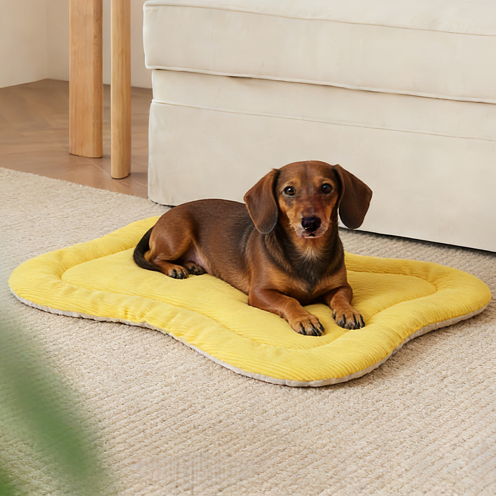 Premium hund Komfort Mat