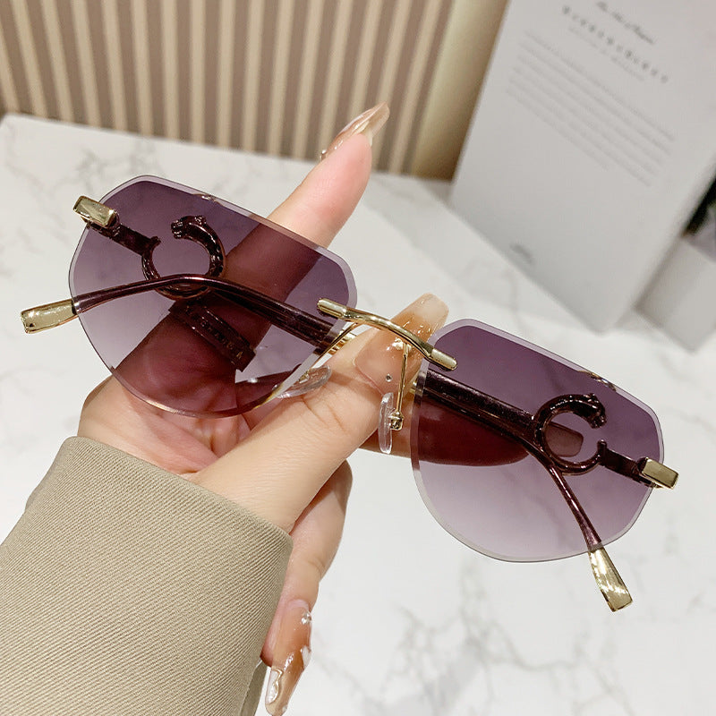 Women's trendy stylish sunglasses in modern design with filigree metal frame Skanto