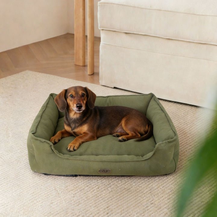 Premium utendørs hundeseng