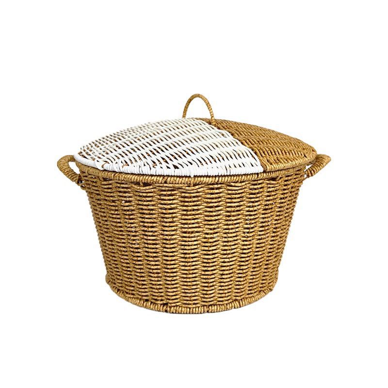 Dame Rattan kurv med lokk og trendy håndtak Skanto