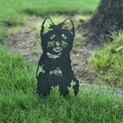 Cairn Terrier | Skanto