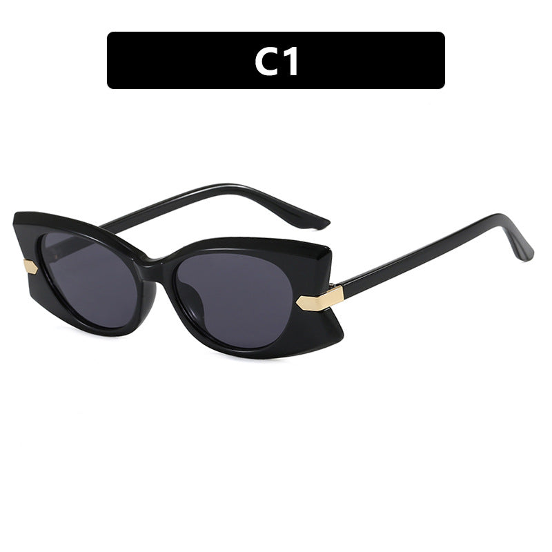 Women's Cat-Eye Sunglasses with Stylish Metal Detail and UV Protection Skanto