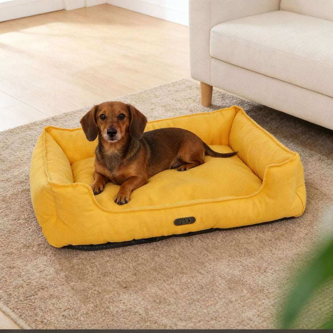 Premium utendørs hundeseng