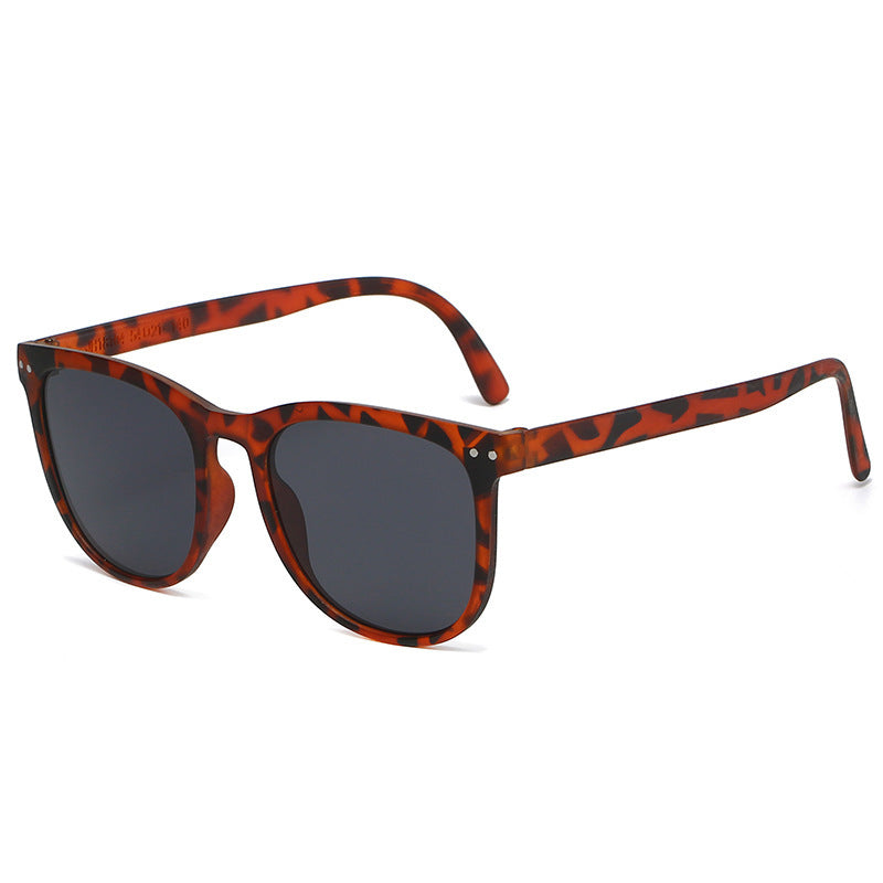 Dame Modische Skilpadde Solbrille med stilig Ramme Skanto