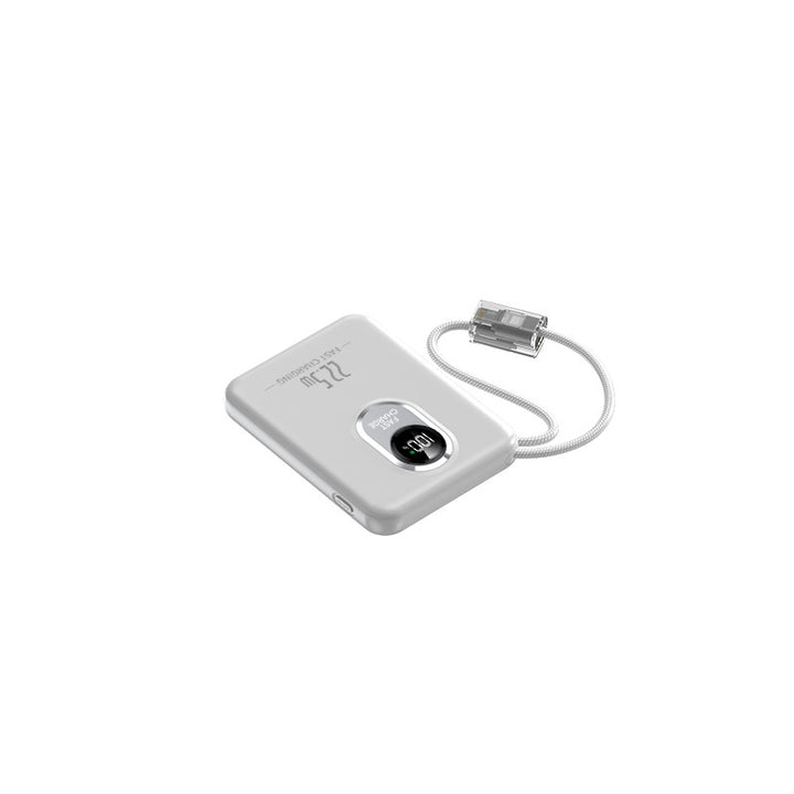 Powerbank For Skanto