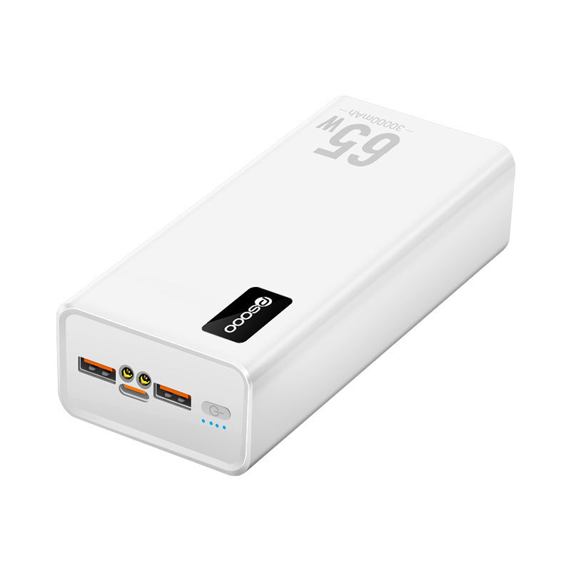 Powerbank Skanto