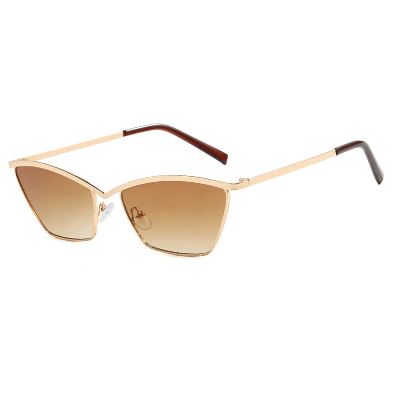 Dame mode Cat-Eye solbriller med elegant metallramme Skanto
