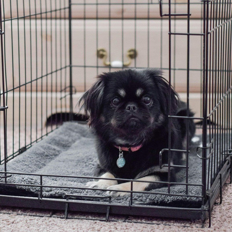 Unisex Koselig hundeseng Skanto