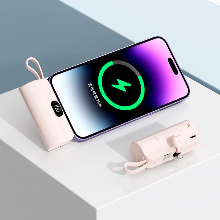 Powerbank for Skanto