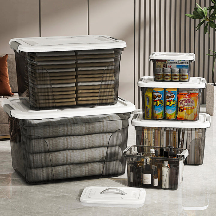 Women's Storage Box with Transparent Lid and Large Volume Skanto