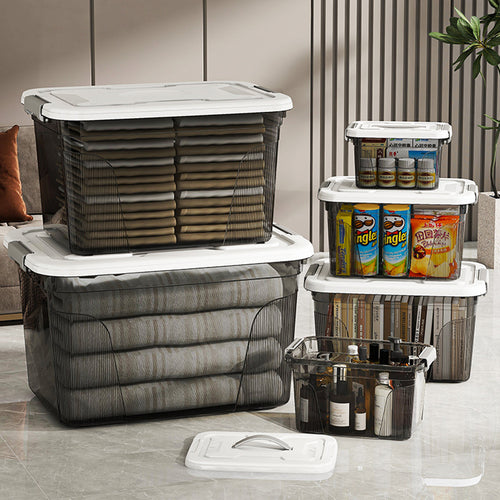Women's Storage Box with Transparent Lid and Large Volume Skanto