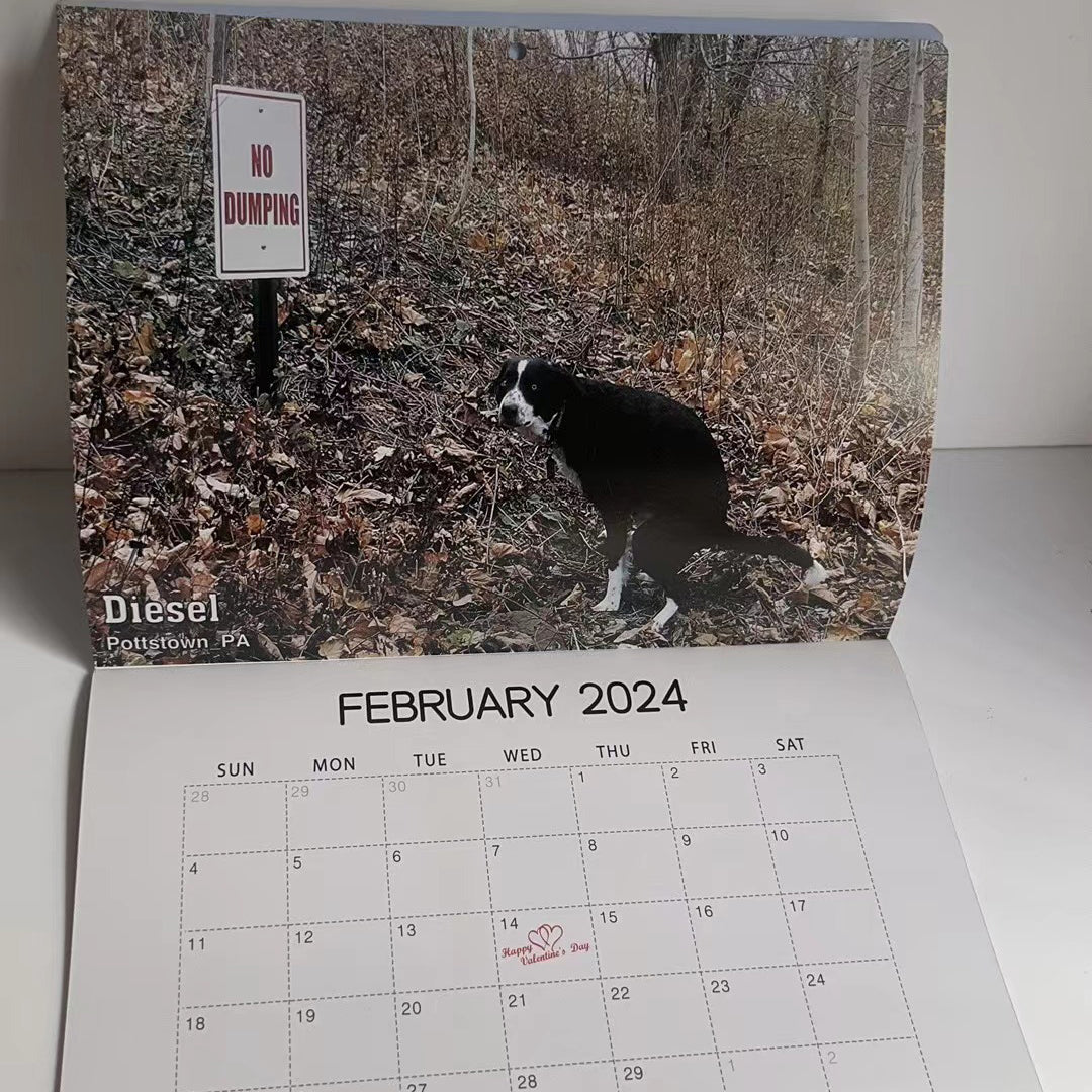 Morsomste Kalender-Hunder Bæsjer på Vakre Steder | "Kunstnerisk Utrykk" av Pelsvenner | Skanto