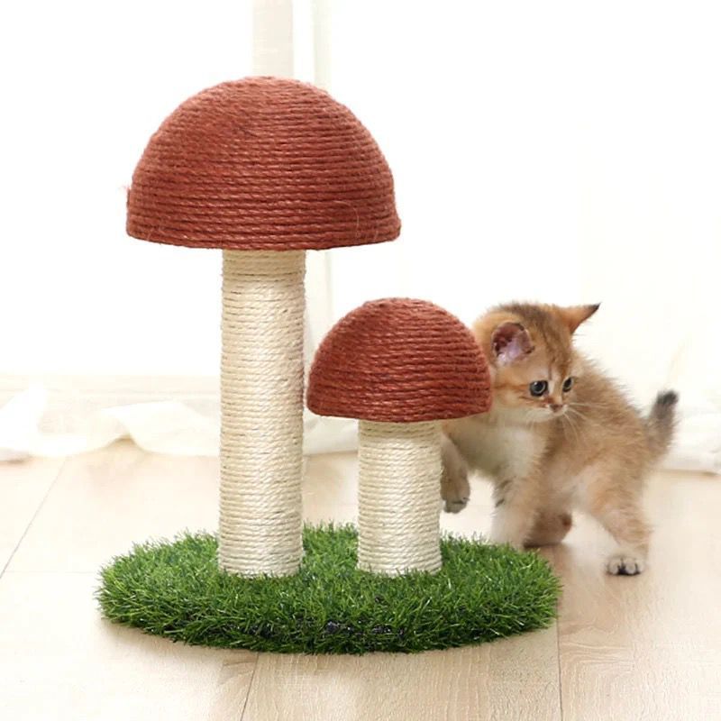 Sisal Katt Soppskrapepost Skanto