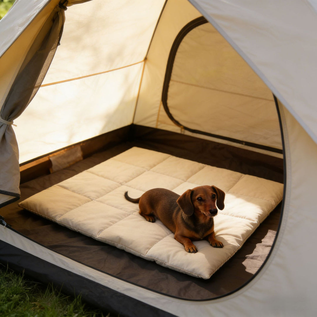 Bærbar quiltet hundesovematte