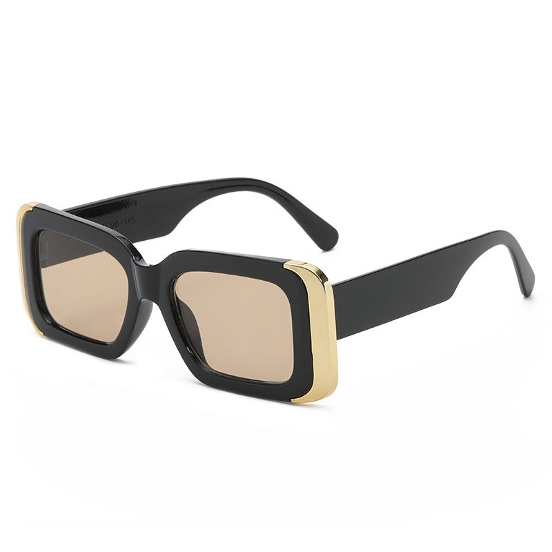 Dame Oversized-solbriller i moderne dyreprint-design Skanto