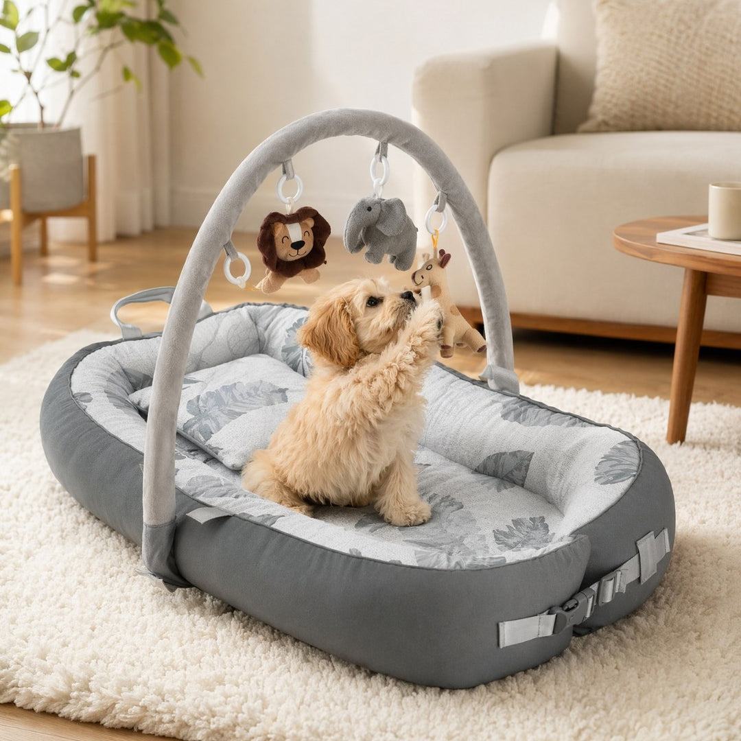Activity Play Lounger Dog Bed