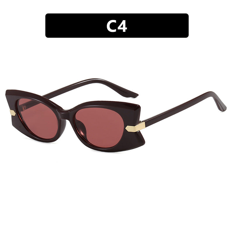 Women's Cat-Eye Sunglasses with Stylish Metal Detail and UV Protection Skanto
