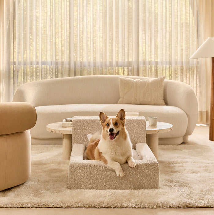 Moderne Lounge Sofa Hundeseng