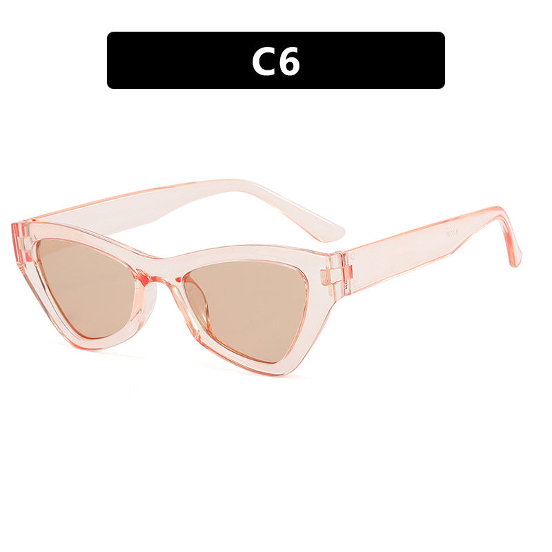 Damen modische Cat-Eye solbrille med transparent ramme Skanto