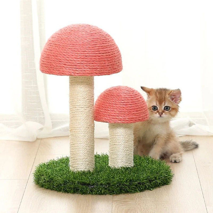 Sisal Katt Soppskrapepost Skanto