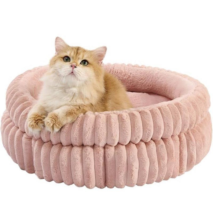 Katt seng   Hund seng