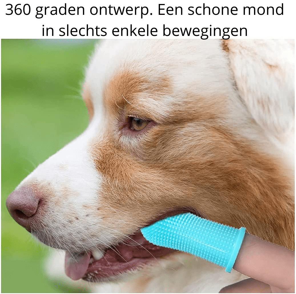 PAWCLEAN PRO – 360° Silikon-Fingerzahnbürste for stressfreie Zahnpflege bei Hunden