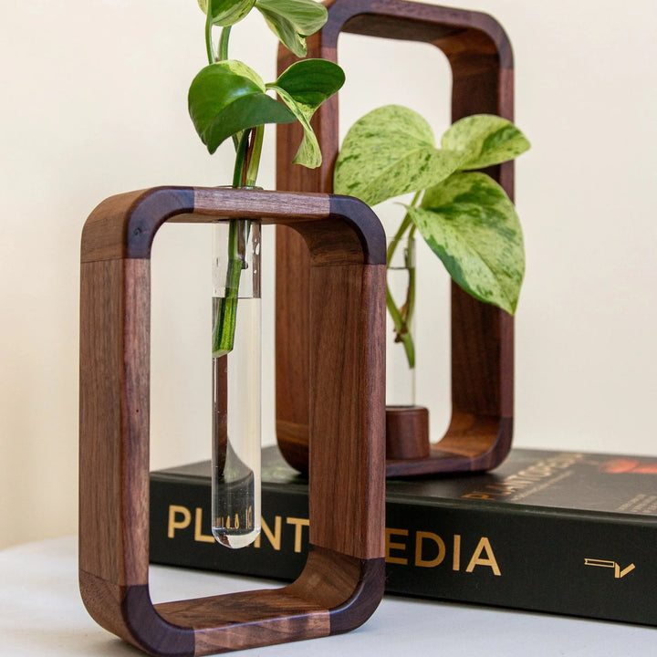 Skanto Hohler Plante Propagator | Dekorativ Plantevekst Stasjon | Perfekt for Hjem og Kontor