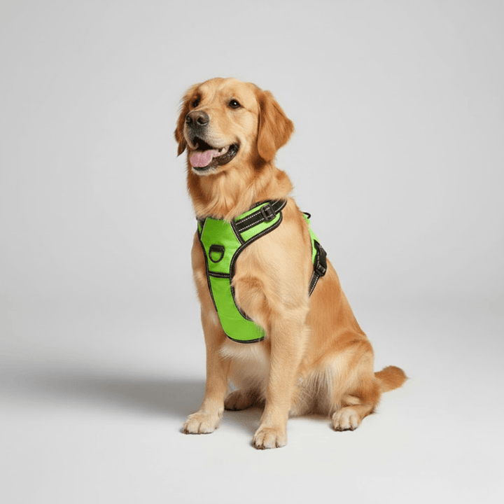 Skanto | Reflekterende, pustende hundesele for små og store hunder