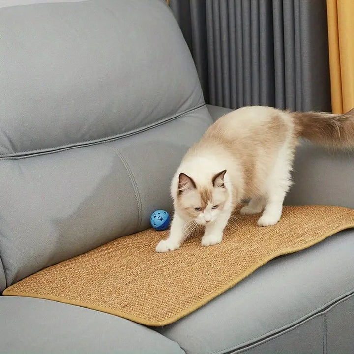Moderner Katzenkratzbaum für Krallenpflege und Spielspaß