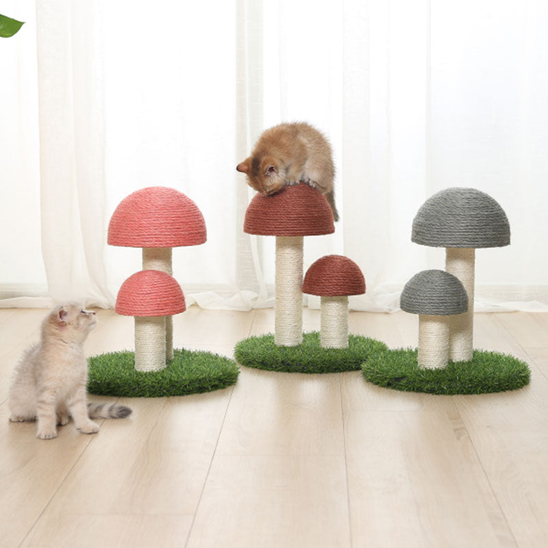 Sisal Katt Soppskrapepost Skanto