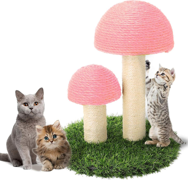 Sisal Katt Soppskrapepost Skanto