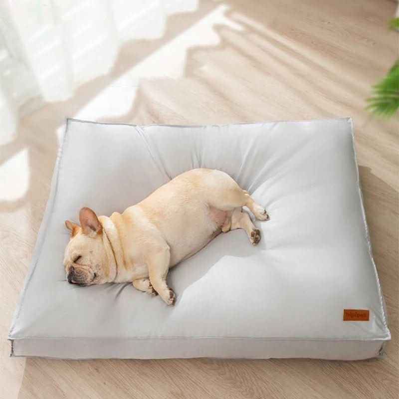 Skanto | Orthopedisk Hundeseng Vaskbar av Minne Skum, Vanntett og Ripebestandig