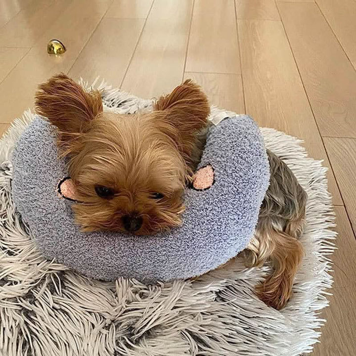 Skanto | PETEASE LUXURY – Ortopedisk Hundeseng mot Stress & Leddbetennelse