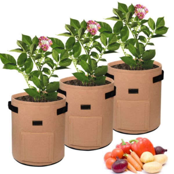 Skanto | Potato Plant Bag