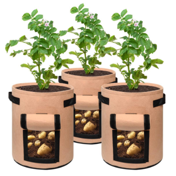 Skanto | Potato Plant Bag