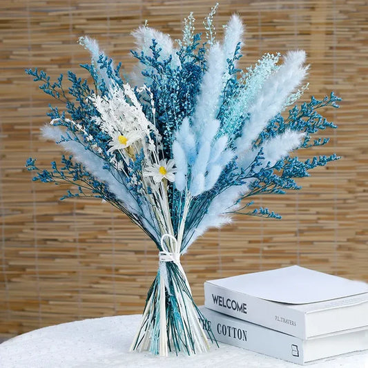 Norvo - Cozy Pampas Grass