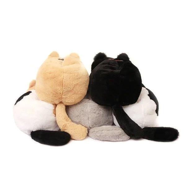 Plush Katt Veveboksdeksler | Skanto