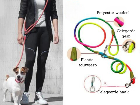 FreedomLeash – Innovativ Håndfri Hundebånd Skanto