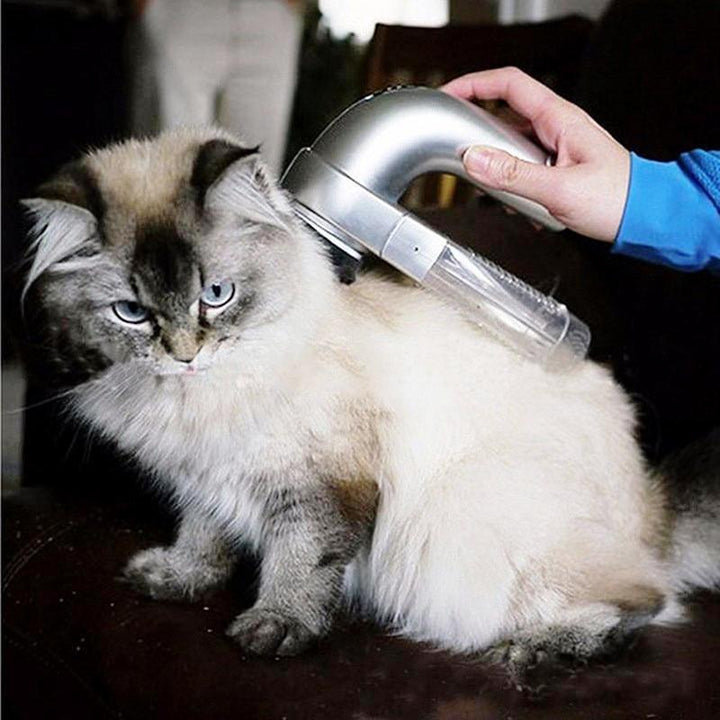 Skanto | Bærbar Elektrisk Kjæledyr Hund Katt Hår Kjæledyr Støvsuger Rengjøringsmaskin