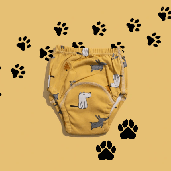 Norvo | Potty Training Diapers | 6-lags gjenbrukbare bukser 2+ – Gjør toaletttrening enkelt og moro