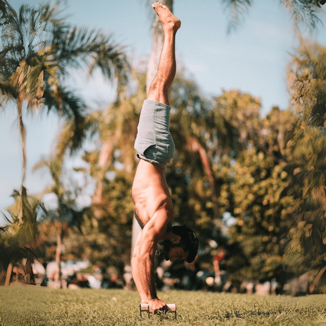 Skanto | Ergonomiske tre parallettes for sikker push-up trening