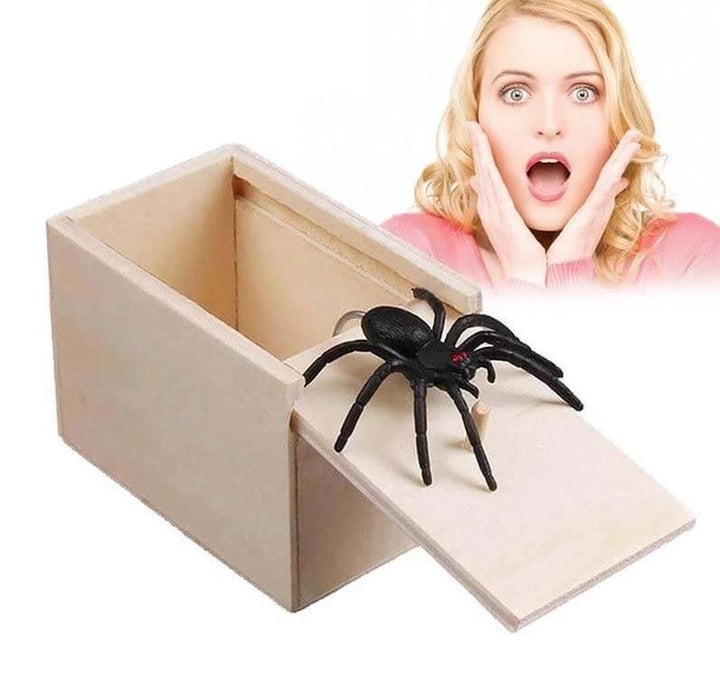 Spider Prank Box | Skanto