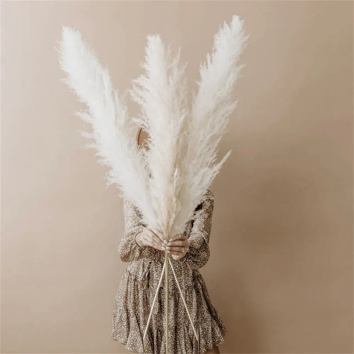 Skanto | FeatherFawn - Tørkede Pampasblomster