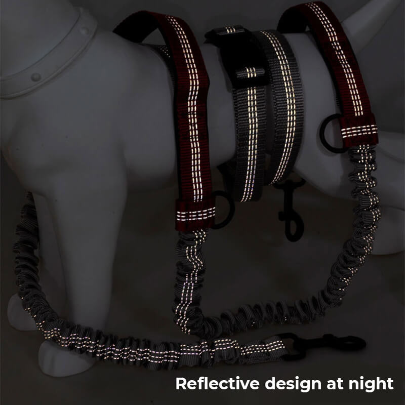 Norvo | Teleskopisk Dobbel Håndtak Multifunksjonell Hundesnor